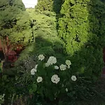 Rigodal Vendeghaz Erlau