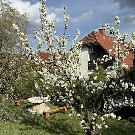 Rigodal Vendeghaz Pensjonat 3*