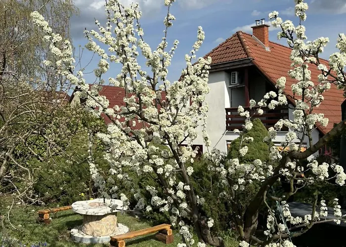 Rigodal Vendeghaz Guest house 3*